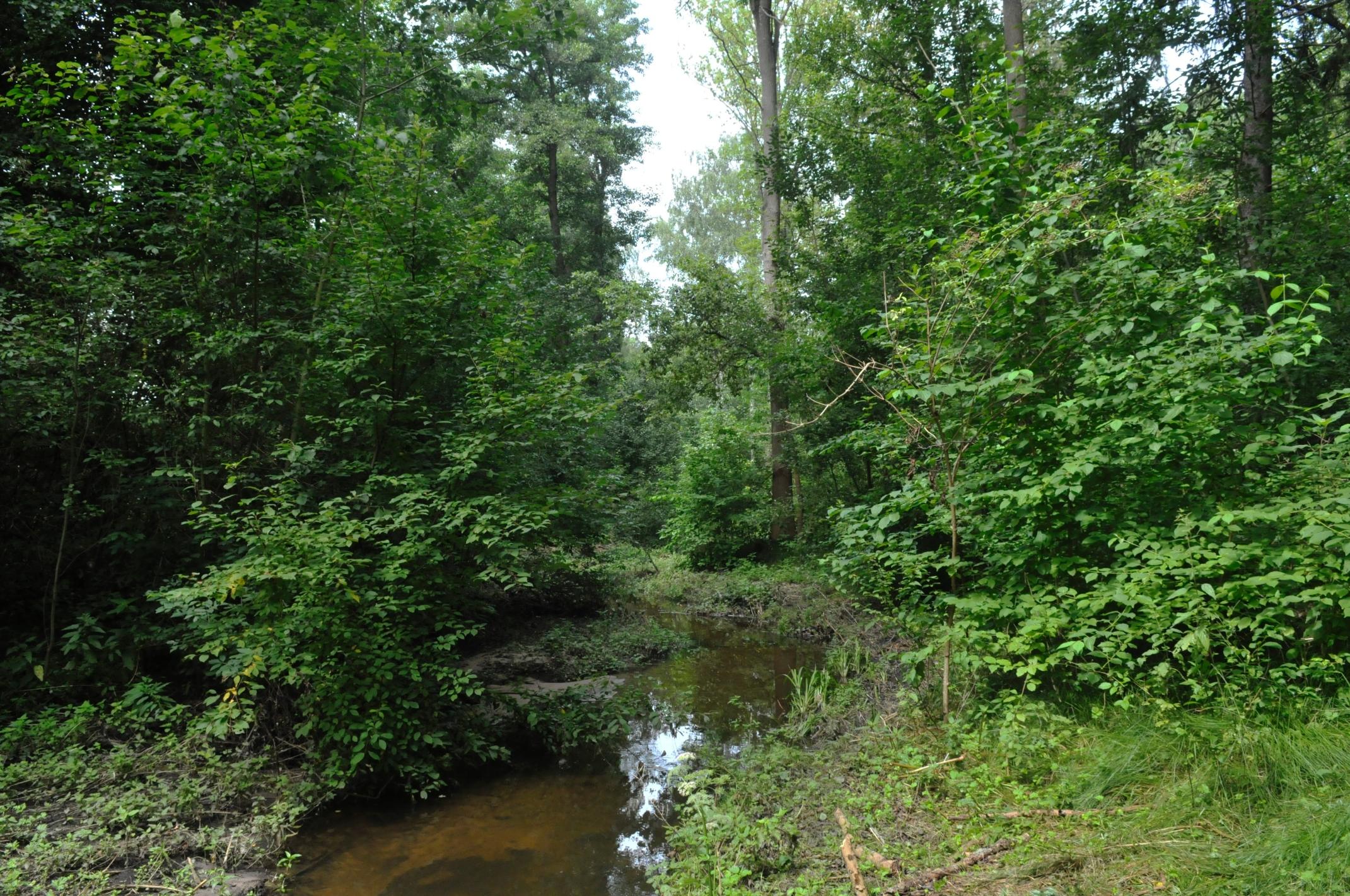 Langwasser im Blick Nordbayern