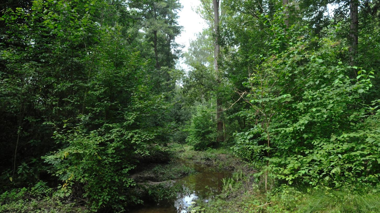 Langwasser im Blick Nordbayern