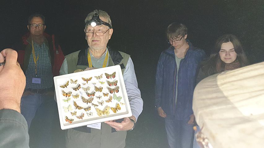 Hans-Peter Schreier von der Arbeitsgemeinschaft Bayerischer Entomologen demonstriert die Vielfalt von Nachtfaltern beim Lichtfang.