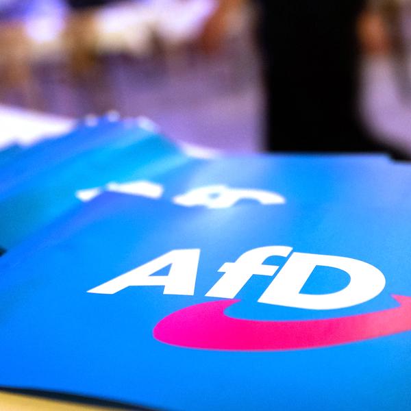 Menschenrechtsinstitut zu Voraussetzungen für AfD-Verbot