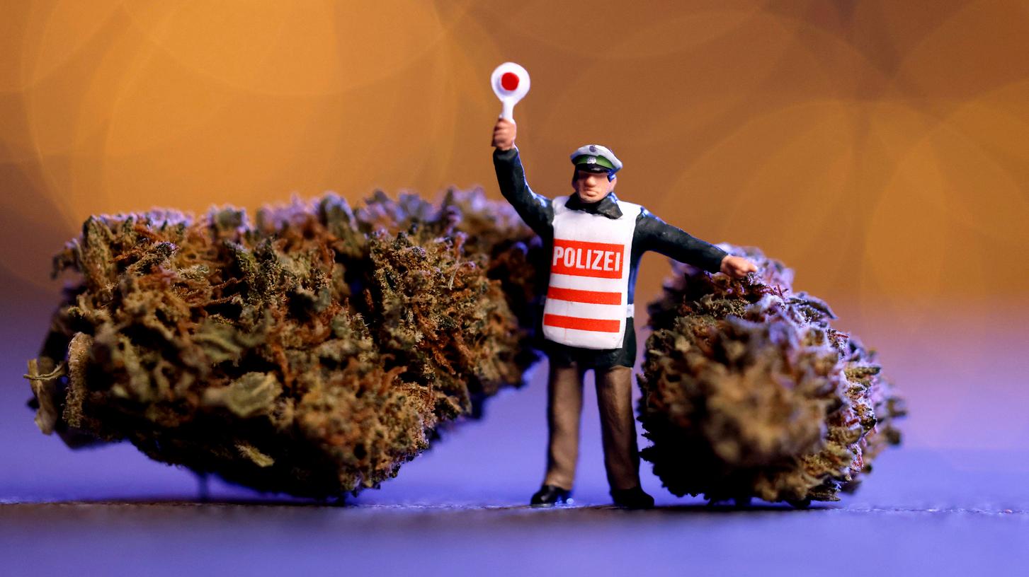 Die Polizei erwische den Mann bei der Pflege seiner Marihuana-Pflanzen. In seiner Wohnung fanden die Beamten noch mehr. (Symbolbild) Die Polizei erwische den Mann bei der Pflege seiner Marihuana-Pflanzen. In seiner Wohnung fanden die Beamten noch mehr. (Symbolbild)