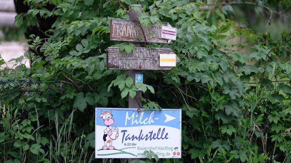 Sturmböe: Umstürzender Baum trifft Familie: 8-jähriges Kind schwerst verletzt