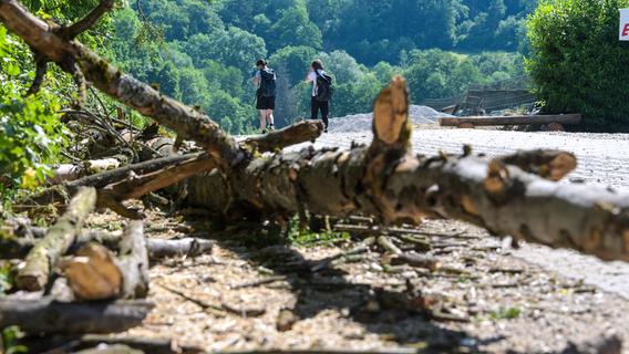 Umstürzender Baum tötet Achtjährigen in Fränkischer Schweiz: Wie es zu der Tragödie kommen konnte