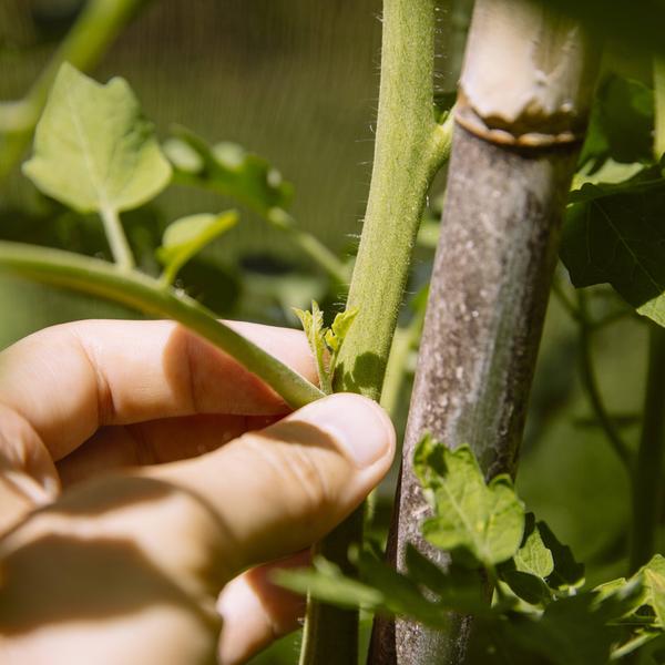 weitere interessante Themen: