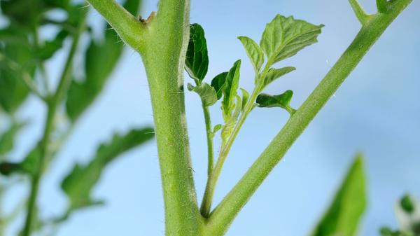 imago images 116188006