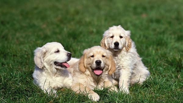 imago images 0257200404