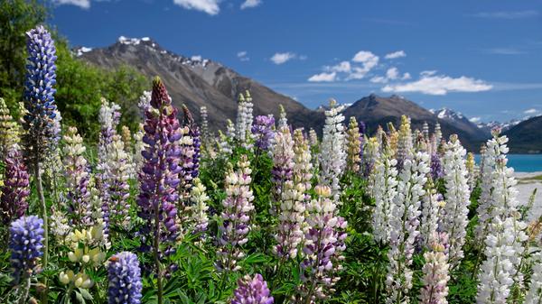 PantherMedia 10582445