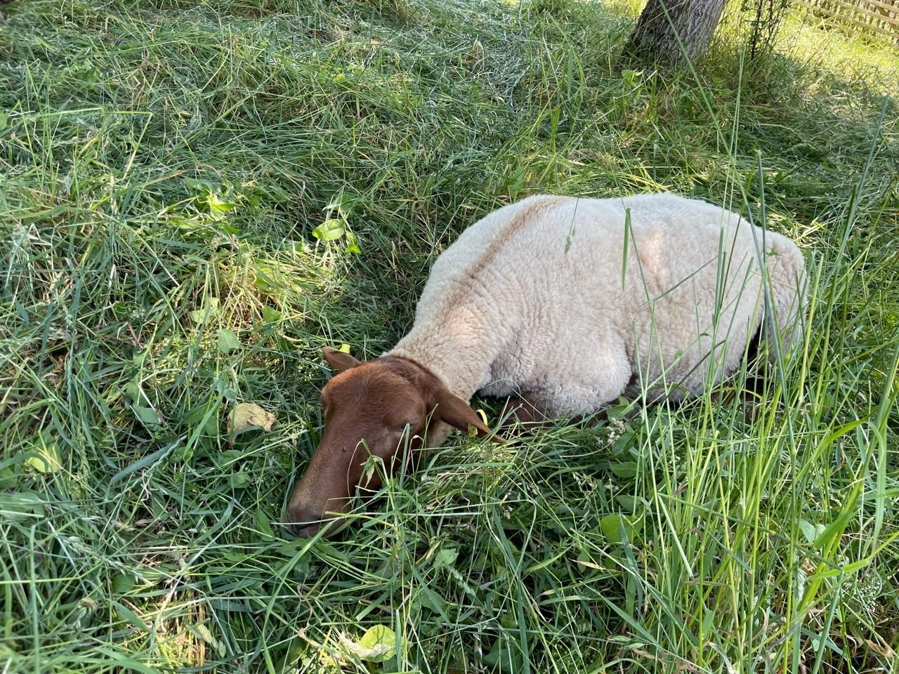 Die einen geben sich dann komplett der Entspannung hin ... 