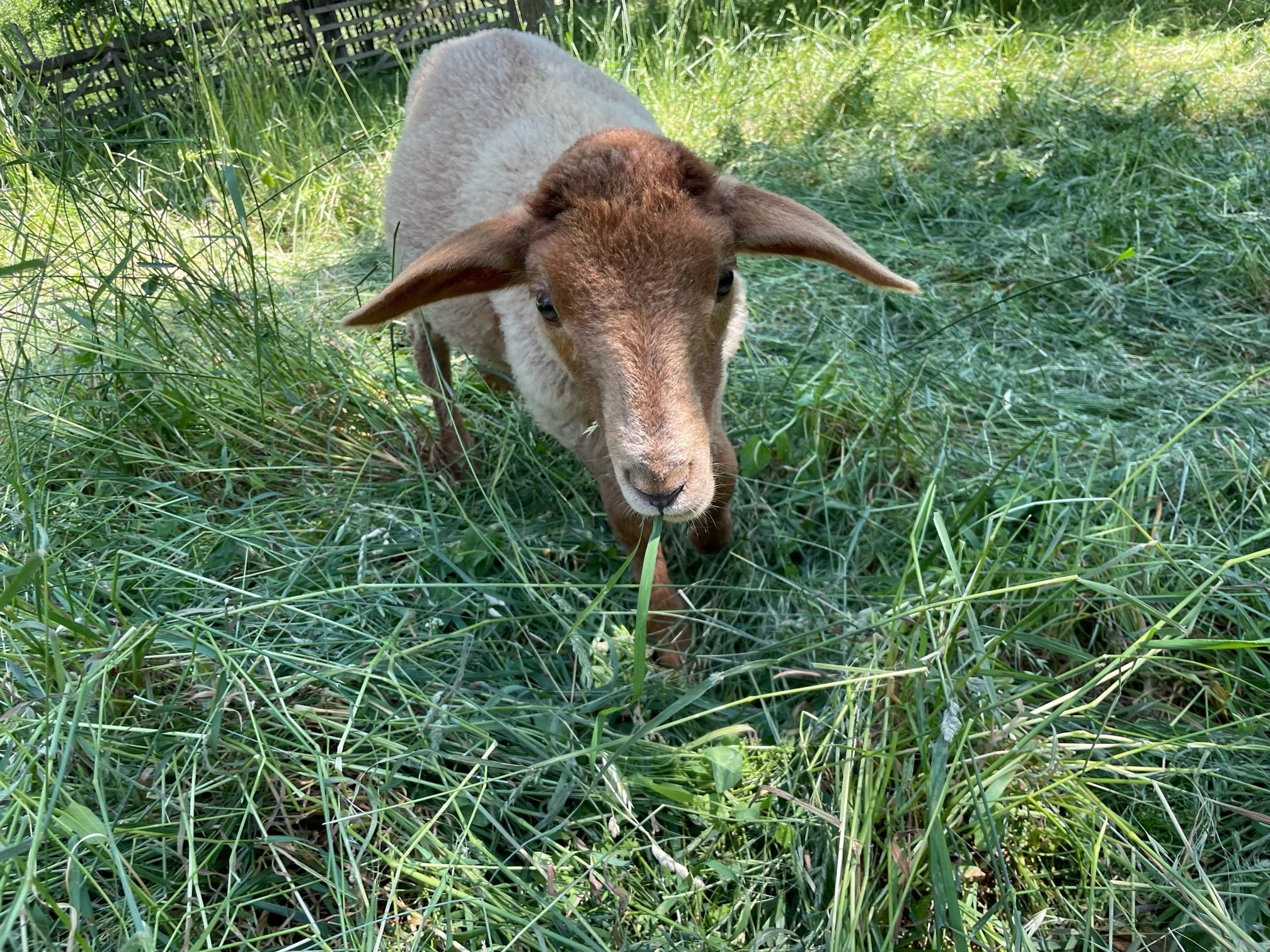 ... oder mampfen doch lieber ein bisschen was zwischendurch.