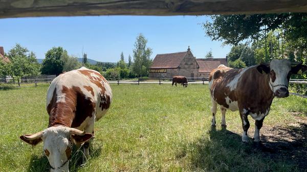 Sie genießen dabei einen Blick auf die Silhouette der Bad Windsheimer Altstadt und den Museumsbauernhof.