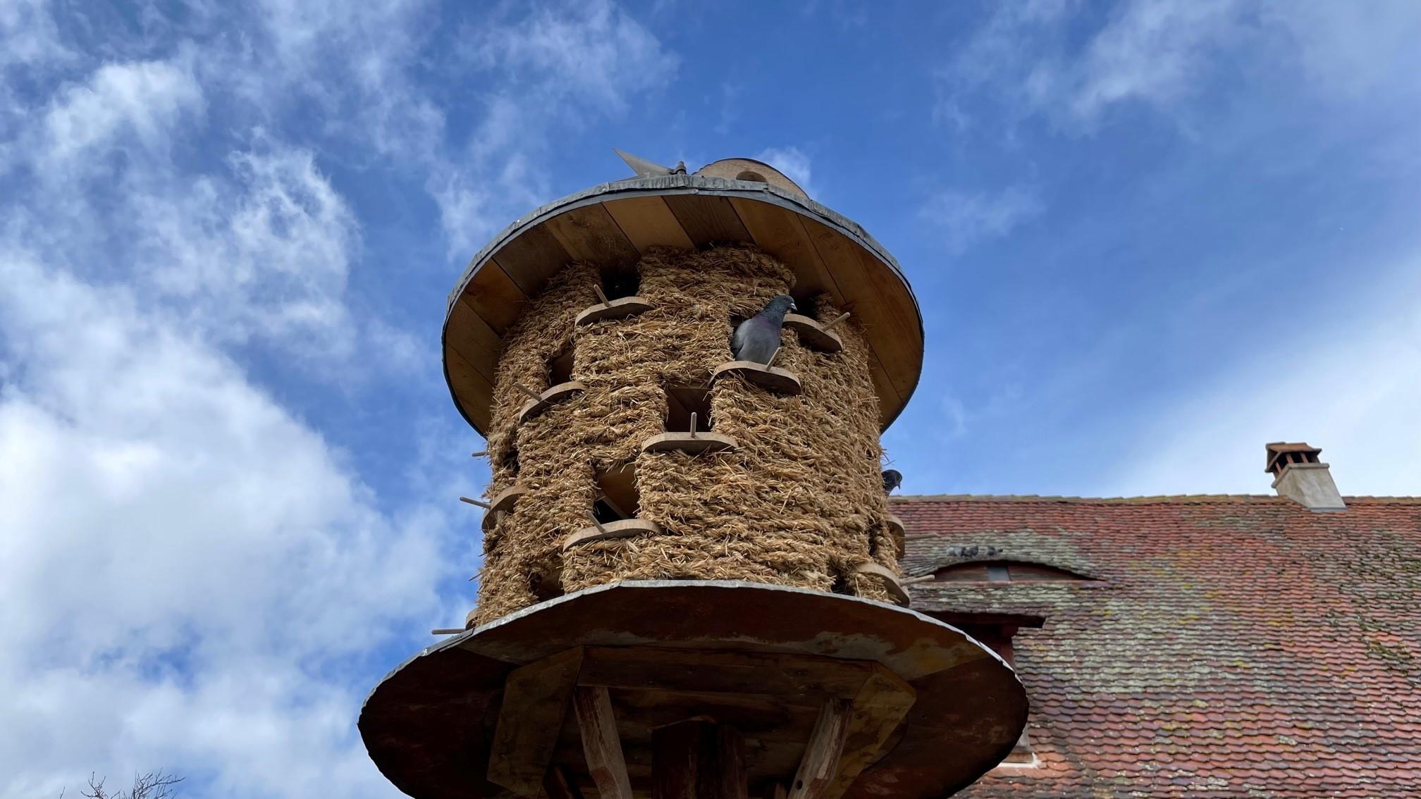 Ganz neu hergerichtet wurde das Taubenhaus im historischen Bauernhof von Seubersdorf. 