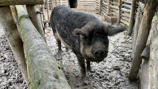 Gundi und Siggi sind da schon etwas rustikaler unterwegs.