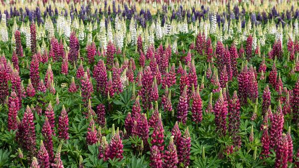 imago images 0161142631