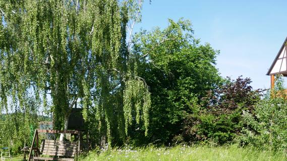 Verborgene Schätze im Grünen entdecken: Kalbensteinberg öffnet seine Gartentüren