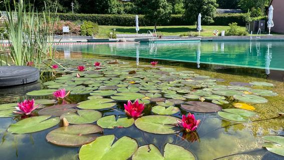 Idyllisches Naturbad im Steigerwald: Ein Bade-Geheimtipp mit Seerosen und ganz ohne Chlor