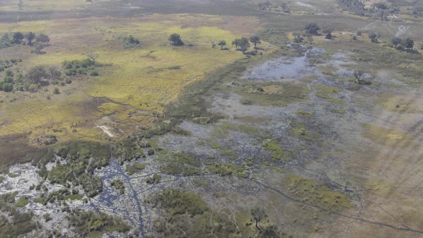 Das Okavango-Delta liegt im Norden von Botswana. Die weitläufigen Grasflächen werden saisonal überschwemmt und bieten dadurch einen üppigen Lebensraum für Tiere aller Art. Das Gebiet gehört seit 2014 zum Unesco-Welterbe, doch es wird bedroht: Neben dem Klimawandel und extremen Trockenperioden sorgt auch die Entdeckung eines riesigen Erdölfeldes für Sorgen bei den Bewohnern. 