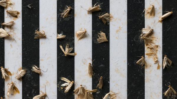 imago images 170153096