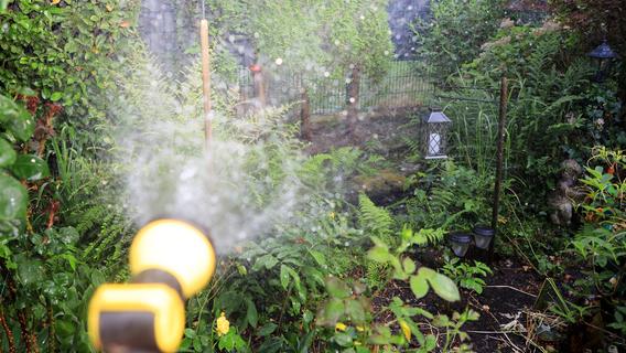 Anhaltende Hitze in Franken: Mit diesen Tipps schützen Sie Ihren Garten