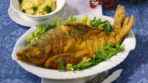 So kennen den Karpfen wohl die Meisten: Gebacken und serviert mit Salat und Kartoffelsalat. Vorsicht: Nur frisch mit einer aufgestellten Schwanzflosse!