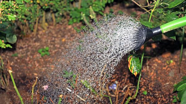 imago images 0260578968