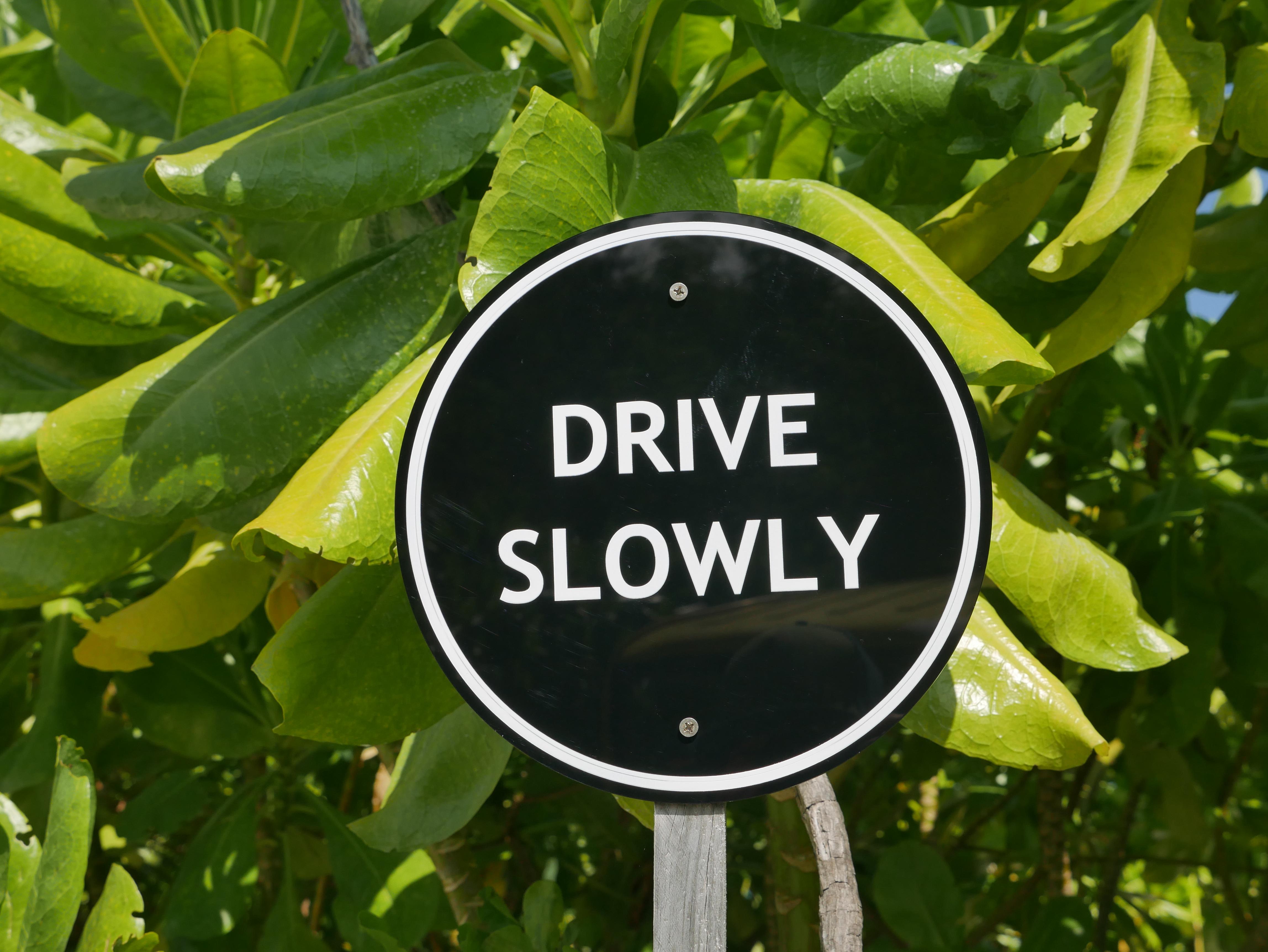 Auf einigen Inseln können die Touristen auch Fahrräder nutzen - immer schön langsam fahren.