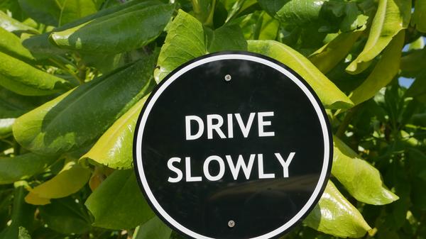 Auf einigen Inseln können die Touristen auch Fahrräder nutzen - immer schön langsam fahren.