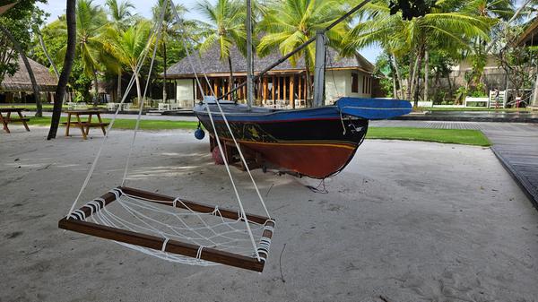 Viele der traditionellen Segelboote werden aus dem Holz der Kokosnusspalme hergestellt.