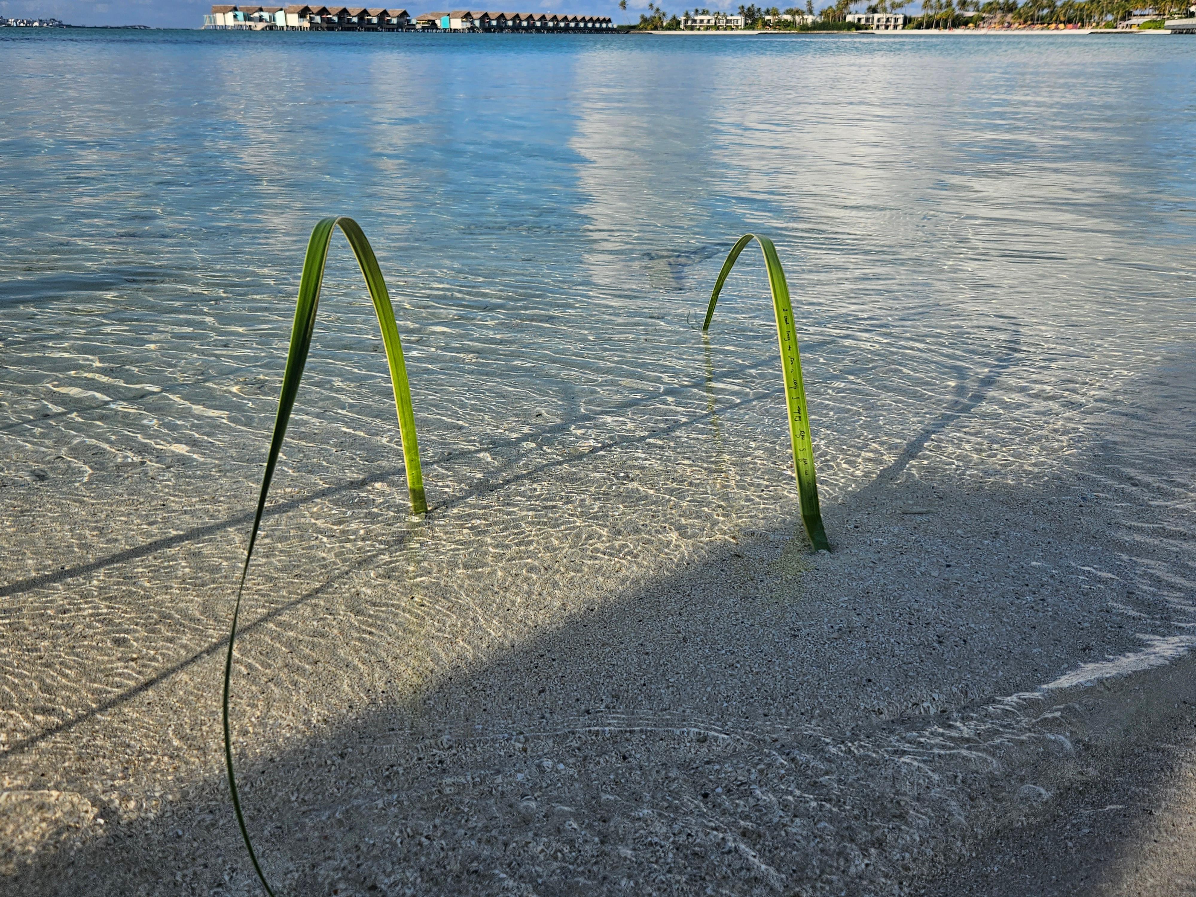 Malediver haben eine besondere Art des Wünschens. Sie schreiben auf ein Blatt ihre Wünsche und stecken dieses an den Strand. Das Wasser trägt das Blatt dann auf das Meer hinaus. Einen Versuch ist es auf jeden Fall wert.
