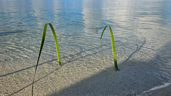 Malediver haben eine besondere Art des Wünschens. Sie schreiben auf ein Blatt ihre Wünsche und stecken dieses an den Strand. Das Wasser trägt das Blatt dann auf das Meer hinaus. Einen Versuch ist es auf jeden Fall wert.