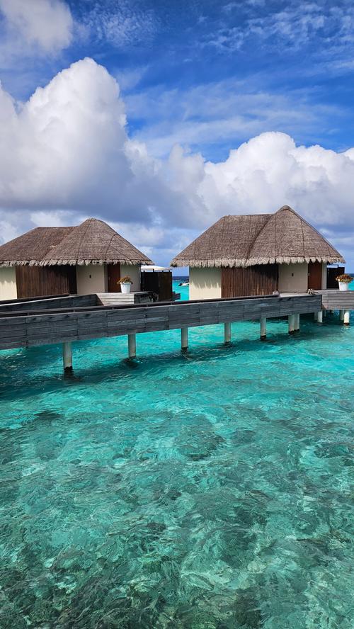 Die Malediven bestehen aus über 1000 Inseln, die sich in ihrer Größe unterscheiden. Auf knapp 200 Inseln leben die Bewohner der Malediven. Auf Dutzend anderer Inseln wurden Hotels errichtet und es entstehen immer mehr.