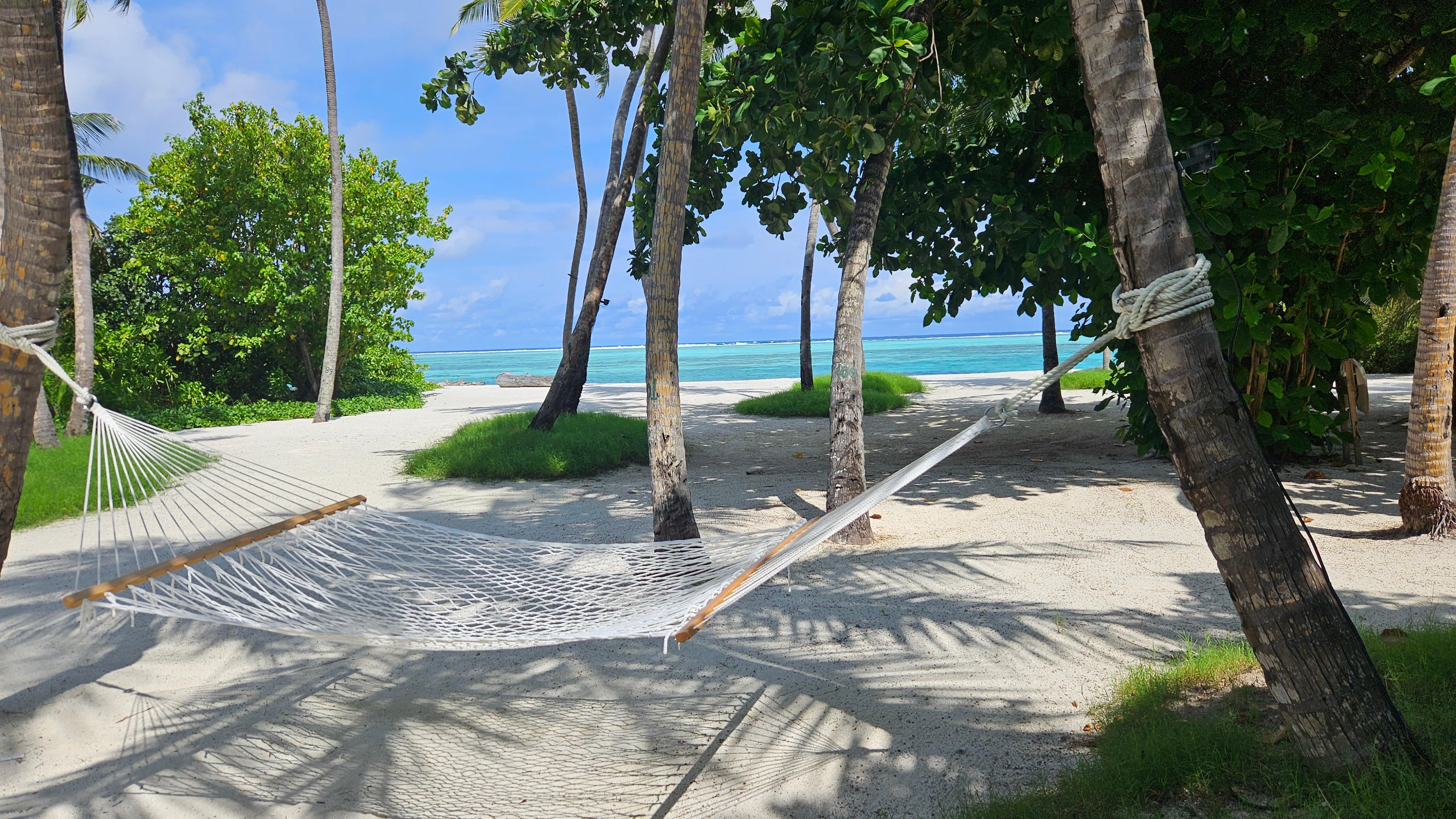 Schwimmen, schnorcheln, tauchen, Delfine beobachten: Für Wasserratten sind die Malediven ein Paradies. Und wer eine Pause vom Freizeitstress braucht, kann ohne schlechtes Gewissen einfach abhängen.