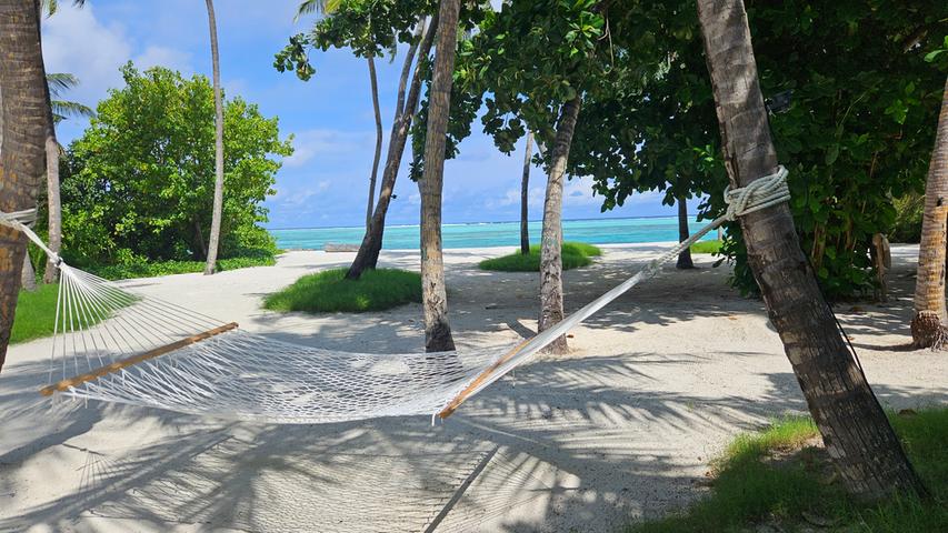 Schwimmen, schnorcheln, tauchen, Delfine beobachten: Für Wasserratten sind die Malediven ein Paradies. Und wer eine Pause vom Freizeitstress braucht, kann ohne schlechtes Gewissen einfach abhängen.