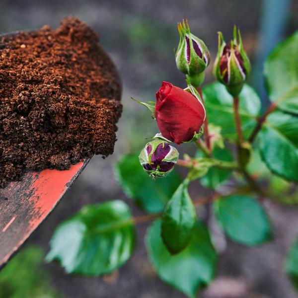 weitere interessante Themen: