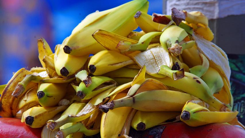 Um Bananenschalen als Dünger zu nutzen, können sie zerkleinert und direkt in den Boden eingearbeitet werden. Rosen, Tomaten, Paprika, Orchideen, Grünpflanzen und Obstbäume haben den meisten Nutzen davon. Da Bananen allerdings oft stark gespritzt werden, sollte man nur Bio-Ware als kaliumreichen Dünger verwenden.