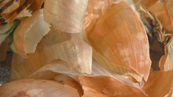 Zwiebelschalen können zur Herstellung einer Brühe verwendet werden, die als Pflanzendünger genutzt werden kann. Dazu werden die Zwiebelschalen in Wasser gekocht, um die Nährstoffe und Mineralien aus den Schalen freizusetzen. Die abgekühlte Brühe kann dann als Gießwasser für die Pflanzen verwendet werden.