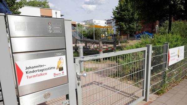 Turmfalken schließen