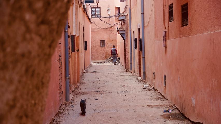 Rot leuchten die Lehmhäuser in der Altstadt und auch die Festungsmauer: Bei einem Spaziergang durch die Medina wird uns schnell klar, warum Marrakesch auch die "Rote Stadt" genannt wird.