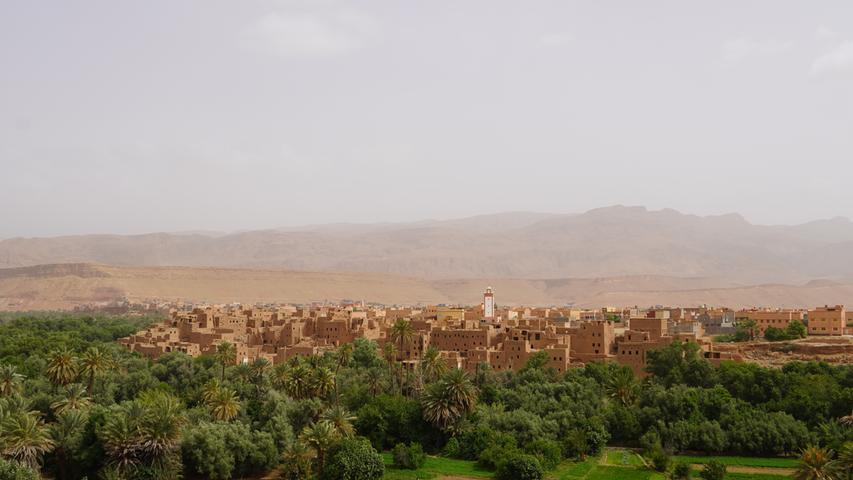 Immer wieder begleiten uns auf unserer Reise durch Marokkos Süden grüne Oasen und ausgedehnte Palmenhaine - wie in der Stadt Erfoud, am Rande der Sahara.