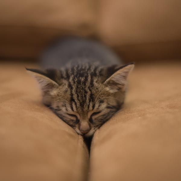 weitere interessante Artikel: