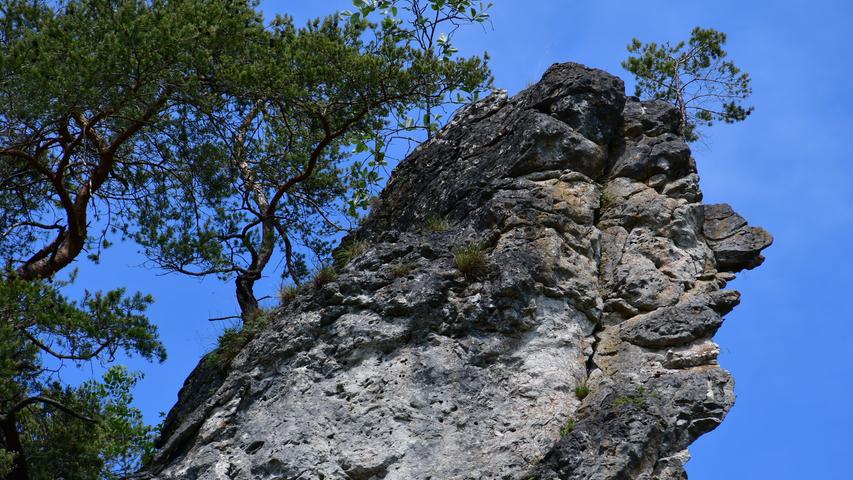 Wie ein Gesicht sieht diese zerklüftete Felsformation am oberen Alpinsteig im Laabertal aus, welches unser Leser beim Wandern fotografiert hat. Mehr Leserfotos finden Sie hier