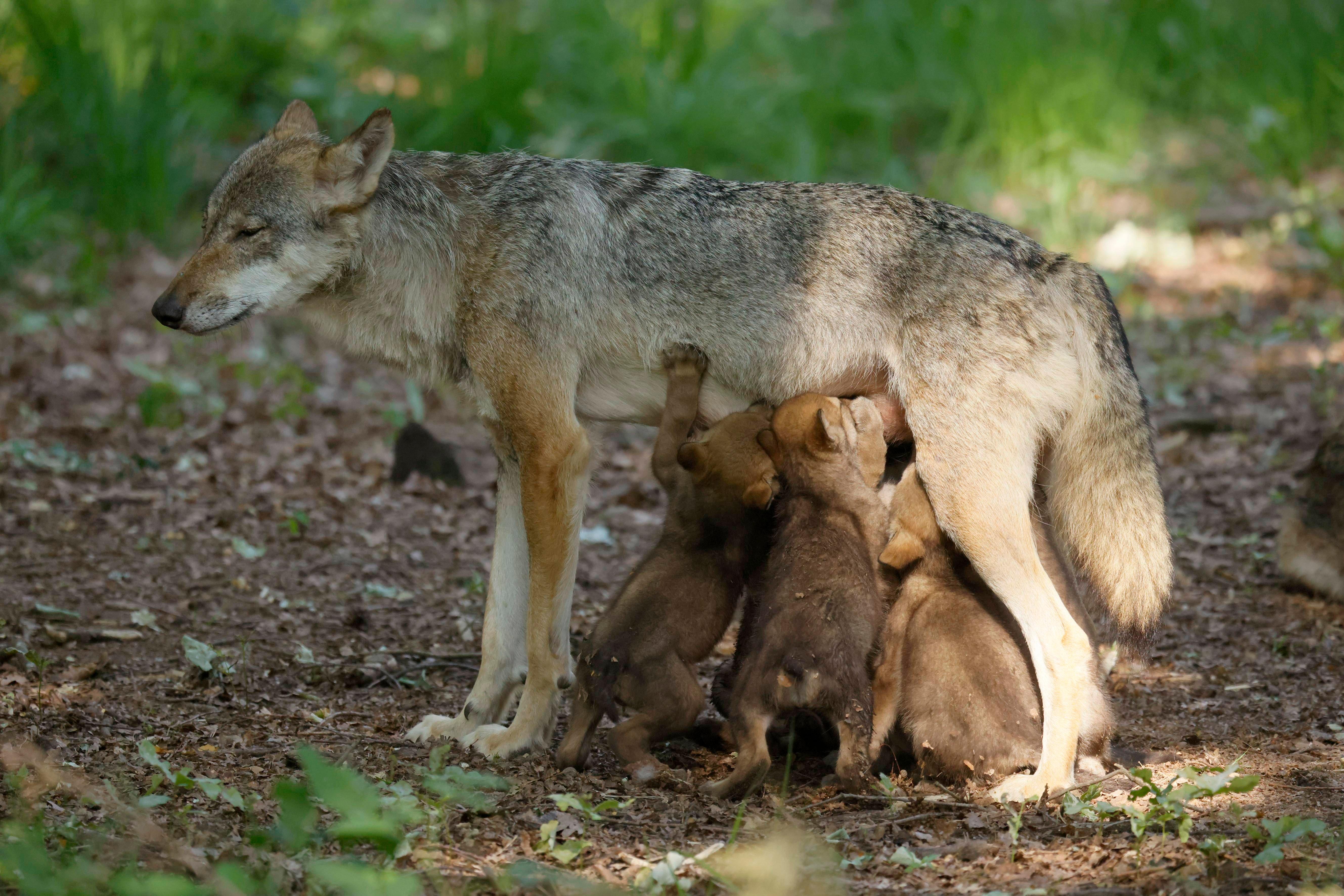 imago images 0259965477