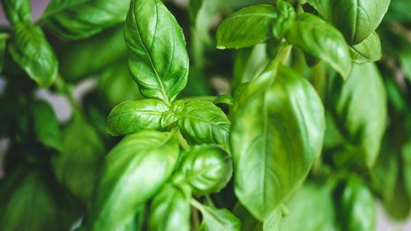 imago images 0258922630