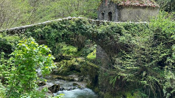 ...zum ersten Nationalpark Spaniens erklärt.