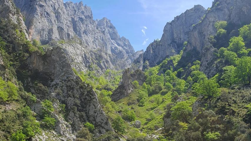 Heute ist das Gebiet als Nationalpark Picos de Europa bekannt. 