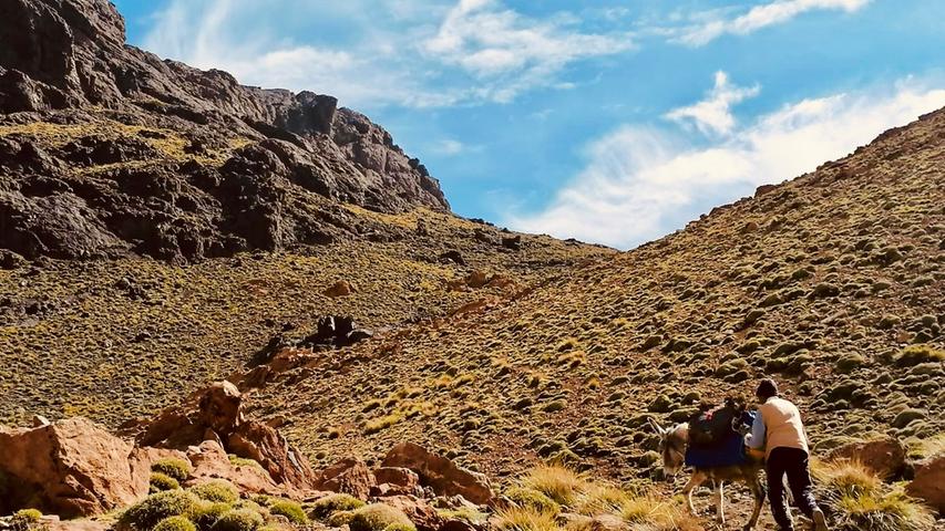 Marokko aufs Dach steigen: Auch Trekking-Liebhaber kommen im Atlasgebirge auf ihre Kosten. Wer den Toubkal - Nordafrikas höchsten Berg (4165 Meter) - meidet, kann die Gipfel, Schluchten und traditionellen Dörfer fast für sich alleine genießen. Die spannende Reisereportage zu dieser Bildergalerie lesen Sie hier.