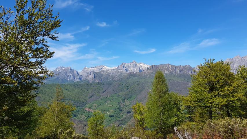 Das Reservat Picos de Europa in Asturien wurde 1918 zum ersten Nationalpark Spaniens erklärt. 