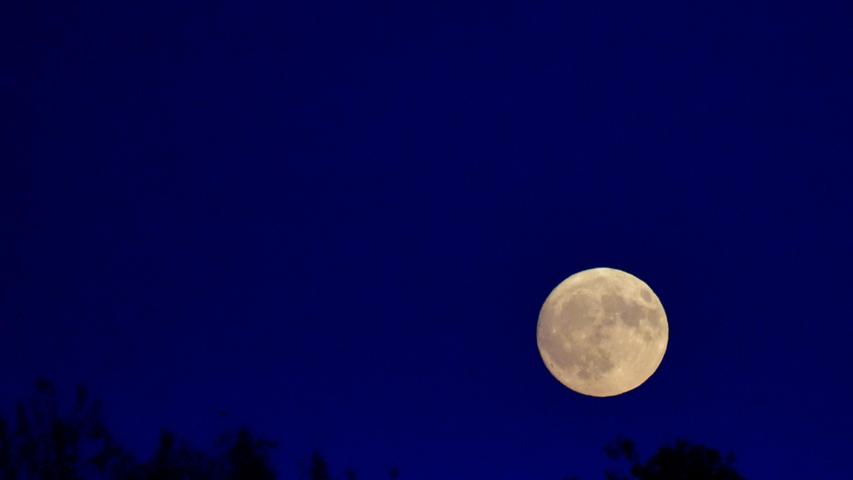 Geheimnisvoll leuchtet der tiefstehende Mond über den Bäumen bei Ipsheim. Mehr Leserfotos finden Sie hier