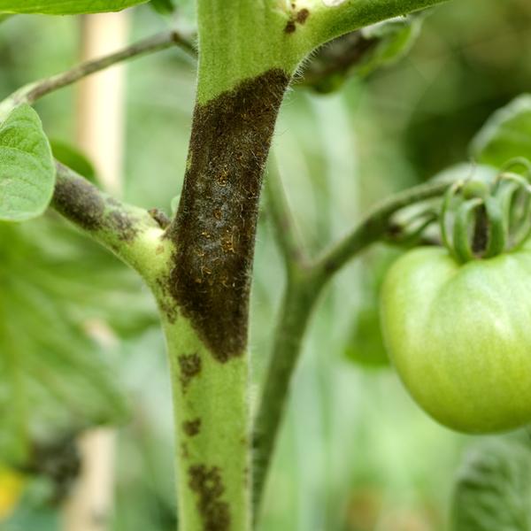 weitere interessante Themen: