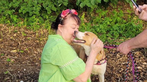 glueckstreuner-aumeier