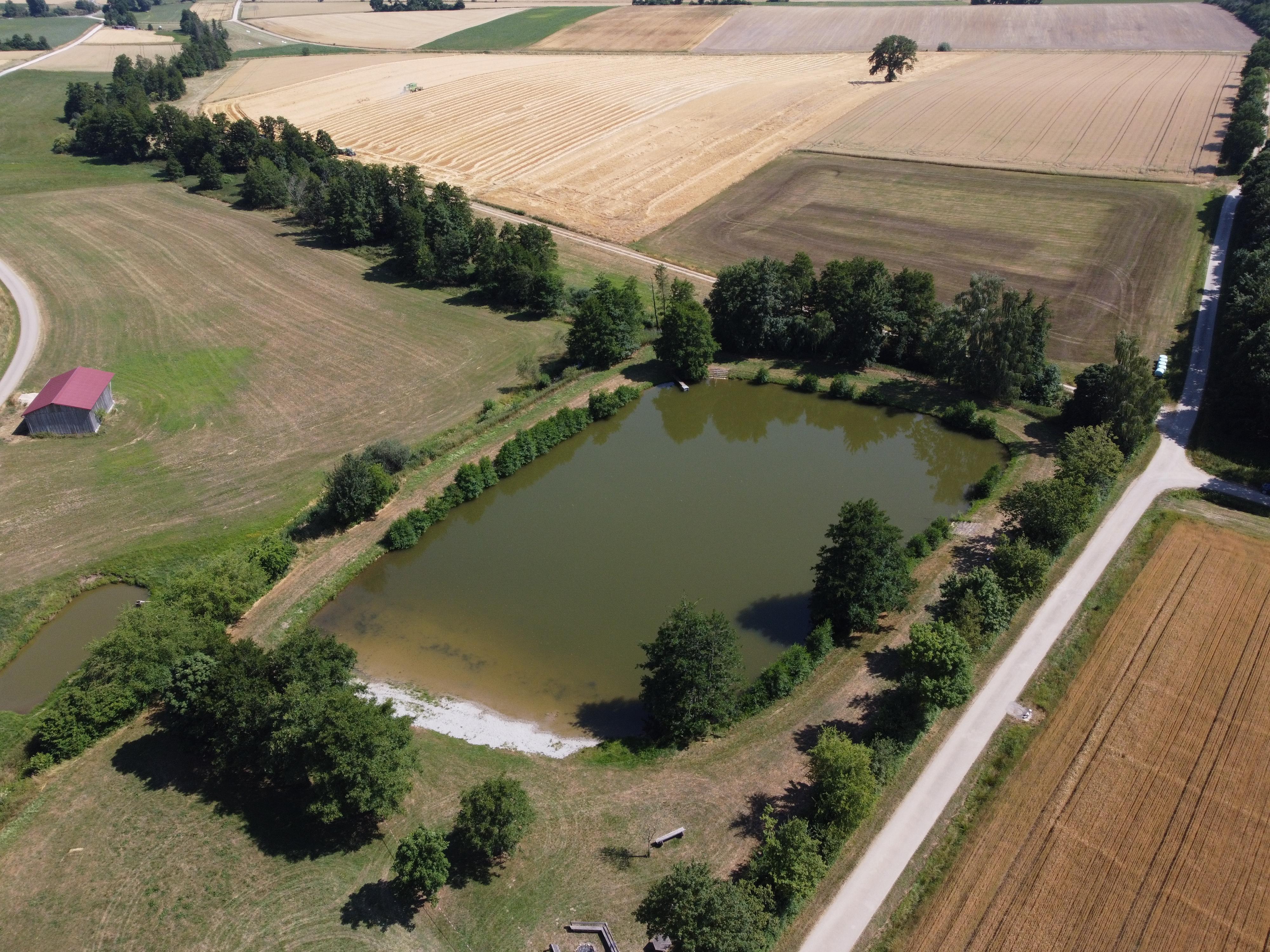 90-jähriger Mann tot aus Badeweiher geborgen: - Frau entdeckt leblose Person - Feuerwehr kann leblosen aus Wasser ziehen - Arzt kann nur noch den Tod feststellen - Kriminalpolizei hat Ermittlungen zur Klärung der Todesursache aufgenommen - Erste kriminalpolizeiliche Maßnahmen ergeben keine Hinweise auf Fremdeinwirkung